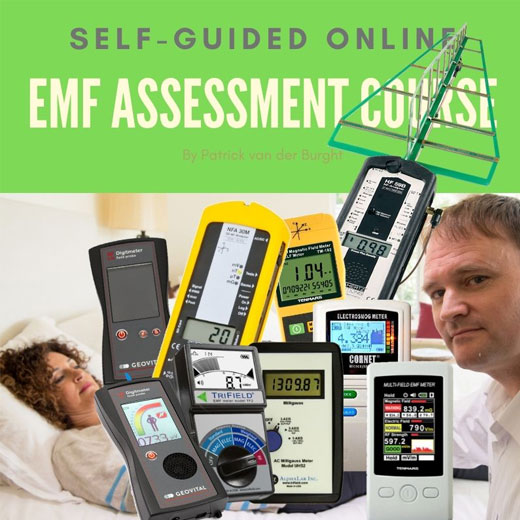 EMF Assessment Guide